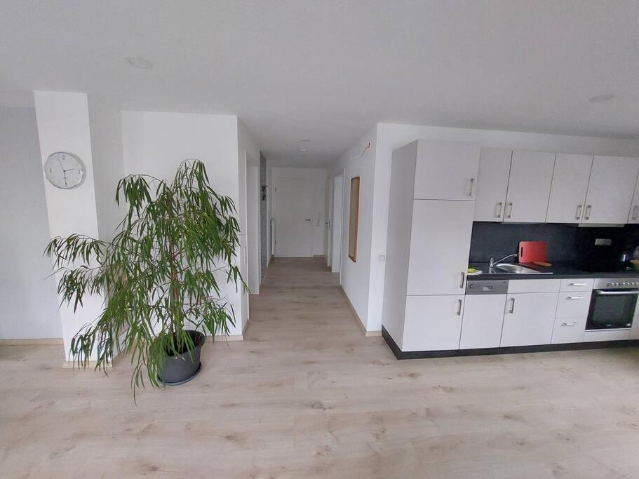 Koenigsquelle Apartment *